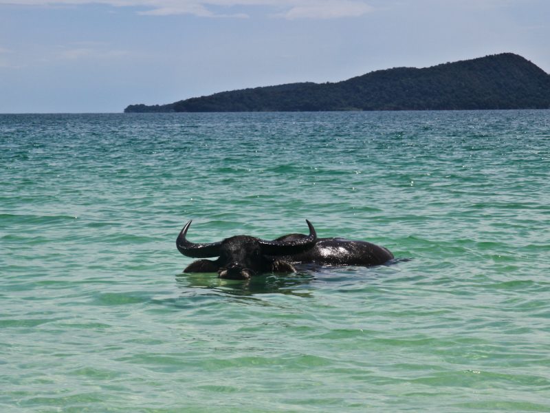 Koh Rong, Cambodia