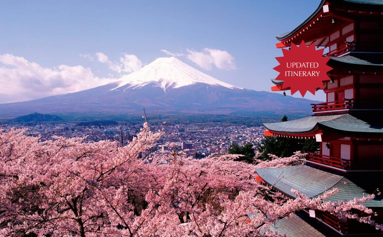 Cherry Blossom update flash other