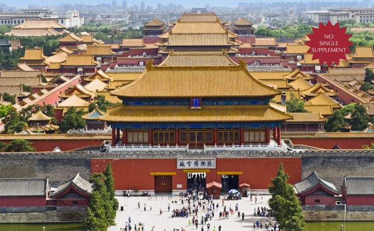 China Essential single supp flash other