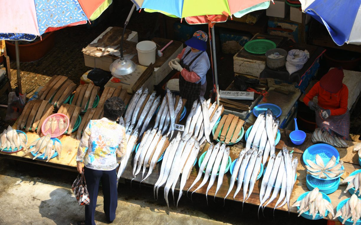Jagalchi fish Market Busan south korea