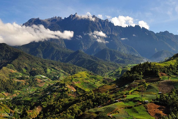 Kinabalu Park Borneo Malaysia