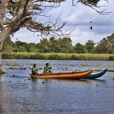 lake habarana sri lanka