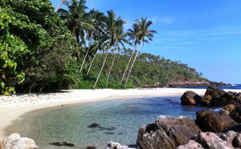 Mirissa Beach sri lanka