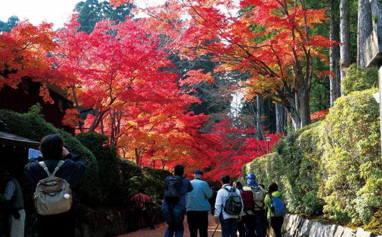 Mount koya Japan