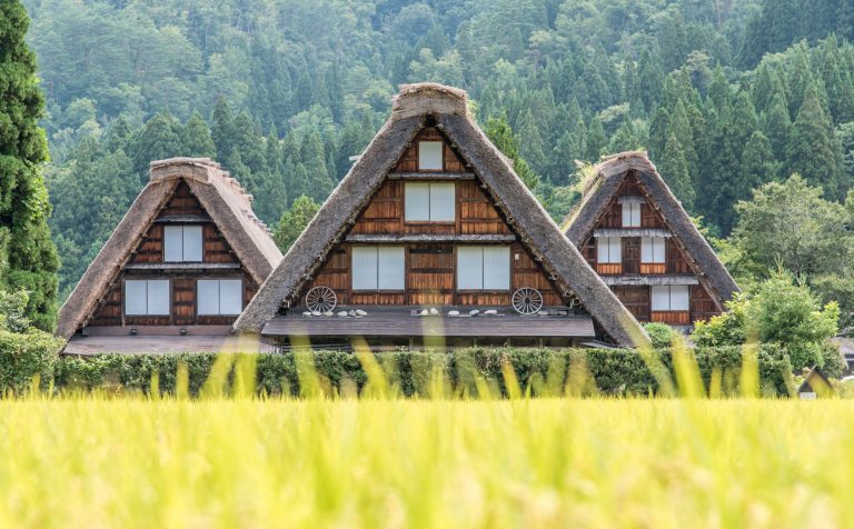 Rice Farm Shirakawago Japan