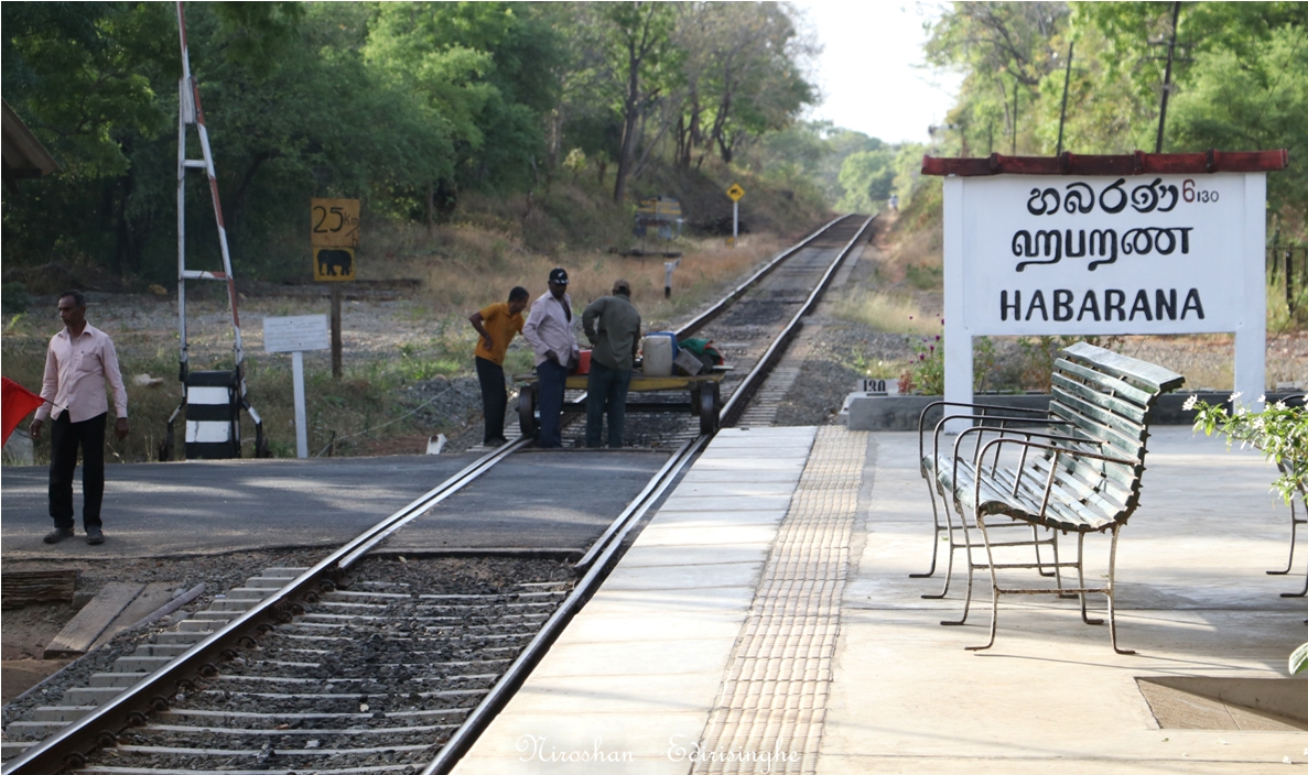 station habarana sri lanka