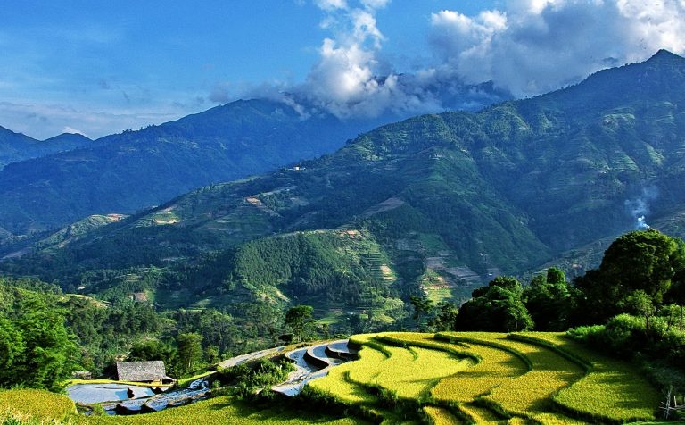 Step fields Sapa Vietnam