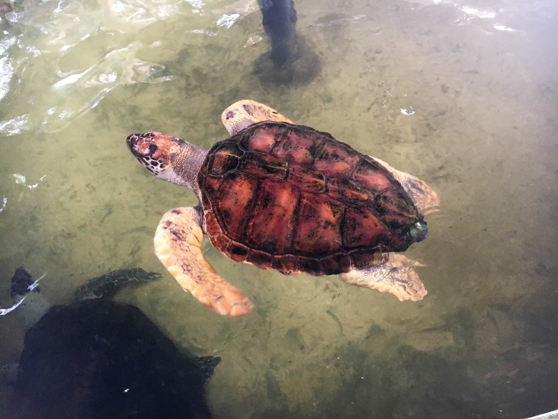 Ahungalla, Sri Lanka